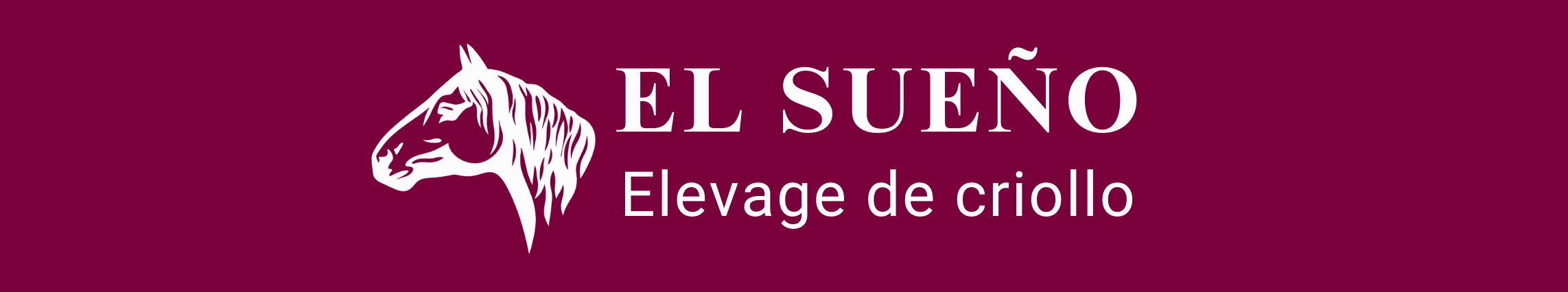 El sueño